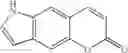 Fig. 184 - Development of Fluorogenic Substrates For Monoamine Oxidases (Mao-A and Mao-B)