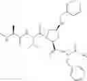 Fig. 161 - Compounds modifying apoptosis
