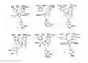 Fig. 01 - Immunosuppressive Ningalin compounds