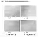 Fig. 04 - Shp-2 inhibitors and pharmaceutical compositions comprising them