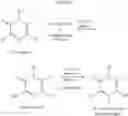 Fig. 23 - Fungicidal Pyrazine Derivatives
