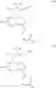 Fig. 18 - Pyrazolo[1,5-alpha]pyrimidinyl derivatives useful as corticotropin-releasing factor (CRF) receptor antagonists