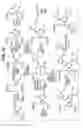 Fig. 16 - Anhydrous crystalline forms of N-[1-(2-ethoxyethyl)-5-(N-ethyl-N-methylamino)-7-(4-methylpyridin-2-yl-amino)-1H-pyrazolo[4,3-d]pyrimidine-3-carbonyl]methanesulfonamide