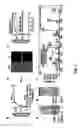 Fig. 04 - Modulation of Cell Barrier Dysfunction
