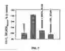 Fig. 08 - Modulation of Cell Barrier Dysfunction