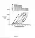 Fig. 03 - Multi-arm polymer prodrugs