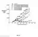Fig. 05 - Multi-arm polymer prodrugs