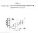 Fig. 05 - Anti-Hiv Quinuclidine Compounds