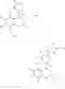 Fig. 06 - Substituted 4-phenyltetrahydroisoquinolines, process for their preparation, pharmaceutical compositions and therapeutic use