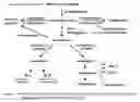 Fig. 02 - LTA4H modulators and uses thereof