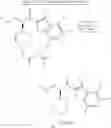 Fig. 71 - Small organic molecule regulators of cell proliferation
