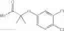 Fig. 15 - Substituted amides