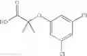 Fig. 16 - Substituted amides