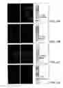 Fig. 06 - Human Receptor Proteins; Related Reagents and Methods