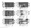 Fig. 07 - Human Receptor Proteins; Related Reagents and Methods