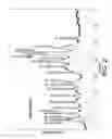 Fig. 03 - Process for making organic photosensitive pigment
