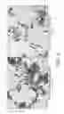 Fig. 06 - Process for making organic photosensitive pigment