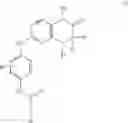 Fig. 02 - Dihydropteridione Intermediate Compounds