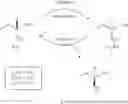 Fig. 09 - Process for Preparing Levetiracetam and Racemization of (R)- and (S)-2-Amino Butynamide and the Corresponding Acid Derivatives