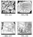 Fig. 22 - Optimized liquid-phase oxidation