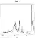 Fig. 02 - Nateglinide crystals