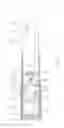 Fig. 13 - Massaging Device for Sexual Purpose