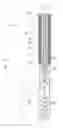Fig. 11 - Treatment tool for endoscope