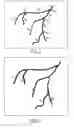 Fig. 03 - Apparatus and method for determining an injection point for targeted drug