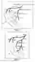 Fig. 04 - Apparatus and method for determining an injection point for targeted drug