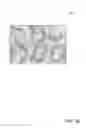 Fig. 27 - Virtual colonoscopy via wavelets
