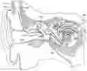 Fig. 01 - Implantable Microphone Noise Suppression