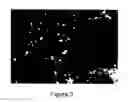 Fig. 04 - Methods for Intraoperative Organotypic Nerve Mapping