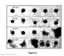 Fig. 06 - Treating Disorders Associated with Inflammation