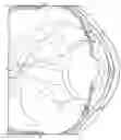 Fig. 01 - Ocular pressure regulation