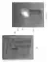 Fig. 15 - AUTOMATED INSERTION ASSEMBLY