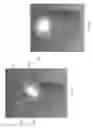 Fig. 16 - AUTOMATED INSERTION ASSEMBLY