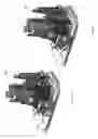 Fig. 20 - AUTOMATED INSERTION ASSEMBLY