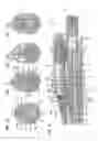 Fig. 07 - Latching Block for Connecting Casing Sections of an Administering Apparatus