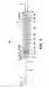 Fig. 04 - Winged needle with needle shield
