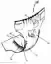 Fig. 01 - Disposable absorbent articles having photochromic ink based graphics