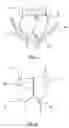 Fig. 03 - Disposable absorbent article with separate part