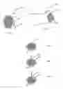 Fig. 03 - Biomedical return electrode having thermochromic layer
