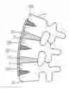 Fig. 01 - Methods of bone, joint, and ligament reconstruction