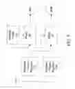 Fig. 04 - Micro-Dermal Tone Skin Stimulator