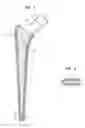 Fig. 02 - Prosthetic implant for use without bone cement