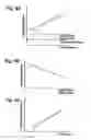 Fig. 09 - Fuel injection system for internal combustion engine