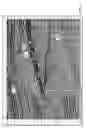 Fig. 07 - Performing 3-D scatterer imaging from 2-D seismic data