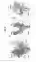 Fig. 08 - Computer comprising three-dimensional coordinates of a yeast RNA polymerase II