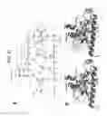 Fig. 22 - Computer comprising three-dimensional coordinates of a yeast RNA polymerase II