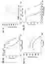 Fig. 03 - CRYSTAL STRUCTURE OF THE HEPATOCYTE GROWTH FACTOR AND METHODS OF USE